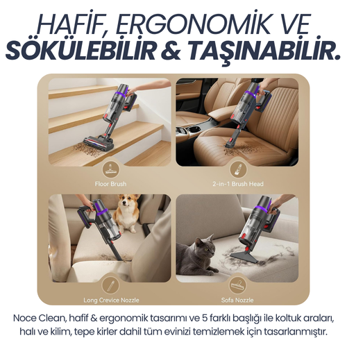 Noce Clean